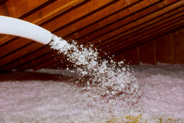 Best Attic Insulation Installation  in Velva, ND