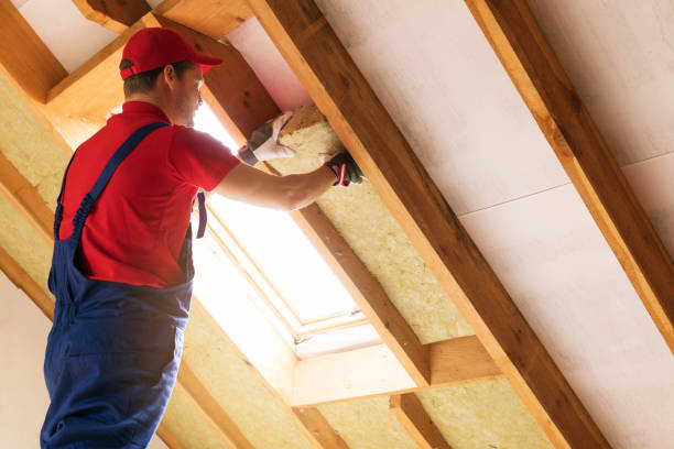 Best Commercial Insulation Services  in Velva, ND